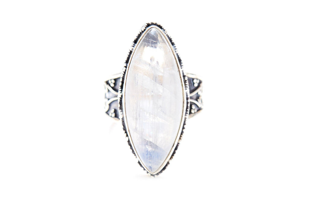 Primrose jewellery rings 2025