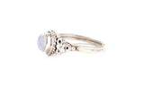 Penny Ring - Rainbow Moonstone